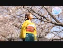 Yume To Hazakura / 夢と葉桜 / 夢與葉櫻 ( 10th Anniversary Remix ) 【青木月光さん作詞作曲。10周年記念のRemixは浅田祐介さん。】