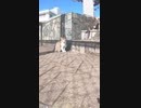 野良猫と人間の共存は可能なのか？#Shorts【野良猫】【感動猫】