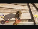 【ゆっくり実況】マリアリのヤーラでヤラかしました part25【FARCRY6】