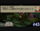 【FFT】 真の英雄目指して剣を取る Part.43【女性実況】