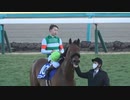 エフフォーリアをなぞる