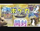 【ポケカ開封】モルモットと一緒にバトルリージョン開封するぞぉぉぉ【モルモット】