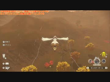 幻の伝説ゲーム『Pokémon LEGENDS アルセウス』垂れ流し その38