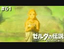 否めないも●●け姫感【ゼルダの伝説 ブレス オブ ザ ワイルド61】