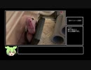初めてのヘビ飼育