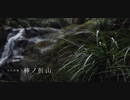 小さな滝｜棒ノ折山