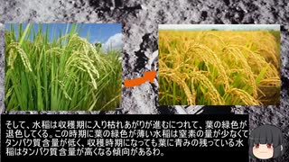 【ゆっくり解説】宇宙から！米・小麦の観測　＃06