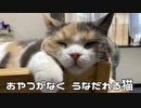 おやつが欲しいのでうなだれてみた猫。