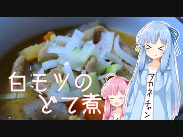 白モツのどて煮【琴葉姉妹の美味しいをつくろう！】