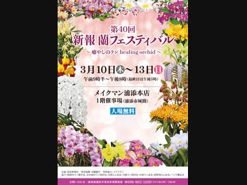 第40回新報蘭フェスティバルinメイクマン浦添本店
