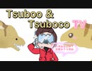 【ヒカマニ素材】Tsuboo＆Tsuboco TV　オープニング