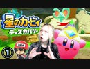 星のカービィ ディスカバリー体験するなりー＃1