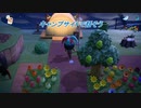 【あつ森】キャンプサイトに来たのはだぁれ？