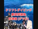 ドリフトダイビング沖縄・慶良間諸島国立公園