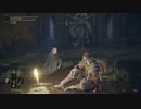 ダークソウルシリーズ未プレイ主のエルデンリング実況part 20