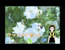 今春のコーデをご提案！　クマンバチギャル － 八紗（やしゃ）