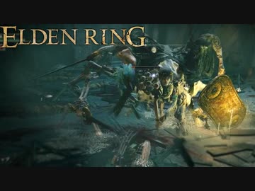 信仰技量の王となる。part _ 004【ELDENRING _ エルデンリング】