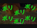 【マイクラ】まずは食料を確保しよう！【ちょい北の方から】