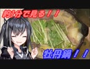 【約１分で見る！】牡丹鍋【coefont】