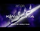 【FANMADE】æspa  in KWANGYA -- aespa 1st World Tour INTRO