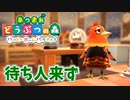 【あつまれ どうぶつの森 ハッピーホームパラダイス実況】別荘？？OK！任せて！カサンドラの別荘「待ち人来ず」完成編