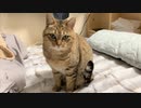 まぁわかってたんですけどね…