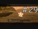 一生捕まえられないやつ【Pokémon LEGENDS アルセウス 実況#29】