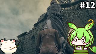 【ELDEN RING】ずんだもん王になれるん？リング　その12【ゆっくり実況プレイ】【ずんだもん実況プレイ】