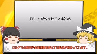 【ゆっくり解説】20世紀に逆戻り？ウクライナ侵略でロシア国民が失ったモノまとめ。