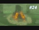 【ゼルダの伝説BotW】実況プレイ-part24-