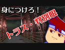 わくわく道路構造物「ペンシルバニアトラス、ボルチモアトラス、Ｋトラス」編。【バーチャルいいゲーマー佳作選】