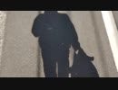 Vlog用　徒歩で帰宅中　素材