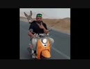 世界の衝撃的映像集Part39
