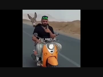 世界の衝撃的映像集Part39