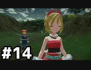 【実況】ポケモンをクリアしたい #14【Pokémon LEGENDS アルセウス】