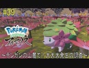 ポケモンアルセウス初見実況#39『テンガンの山麓で！大大大発生の調査』【女性実況 】