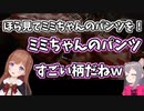パンツ飛行機で大はしゃぎのちえりちゃんとミミちゃん【切り抜き】
