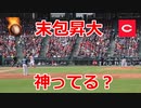 鈴木誠也2世！！達川光男氏の後輩ルーキー！！広島・末包昇大外野手！！西武とのオープン戦！！