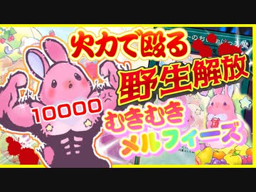 メルフィーが可愛いのでワンキルできる火力で殴るカオスなカードゲーム遊戯王マスターデュエルゆっくり実況はじめました。６[むきむきメルフィーズ]