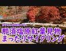 【ミニベロ】那須塩原紅葉見物まったりサイクリング！【ポタリング】