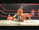 ホモと見るプロレス合体♂技