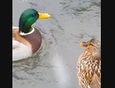 太った旦那を痩せさせる方法