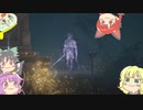 地底褪せ人のおねーちゃん　その9