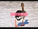 【エクストラチェリー】4th single『しりとりラップvol1』