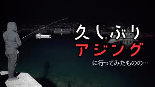 【釣りの音】久しぶりにアジング