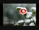 【おい森】24時間(晴→雪)BGM全曲とタイトル曲【耳コピmidi】