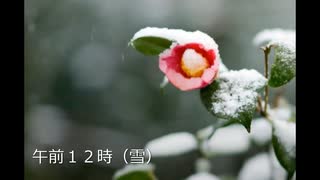 【おい森】24時間(晴→雪)BGM全曲とタイトル曲【耳コピmidi】