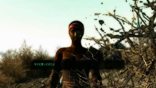 FALLOUT3　#25