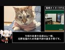 猫様ホイホイRTA ストーブレギュ　1:27.93