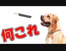 SNSで話題のベーコンをのせるだけの意味不明すぎるゲーム